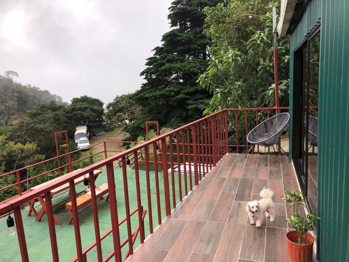Monteverde Monkey Hostel ภายนอก รูปภาพ