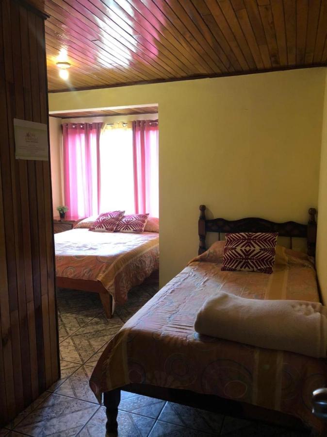Monteverde Monkey Hostel ภายนอก รูปภาพ