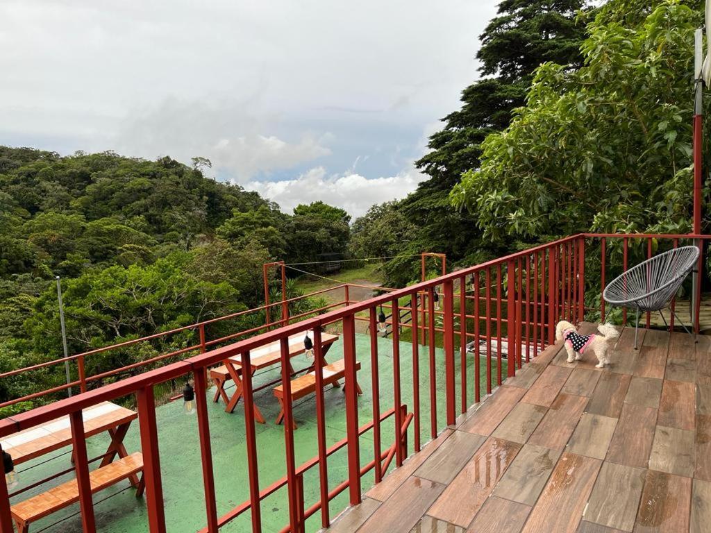 Monteverde Monkey Hostel ภายนอก รูปภาพ