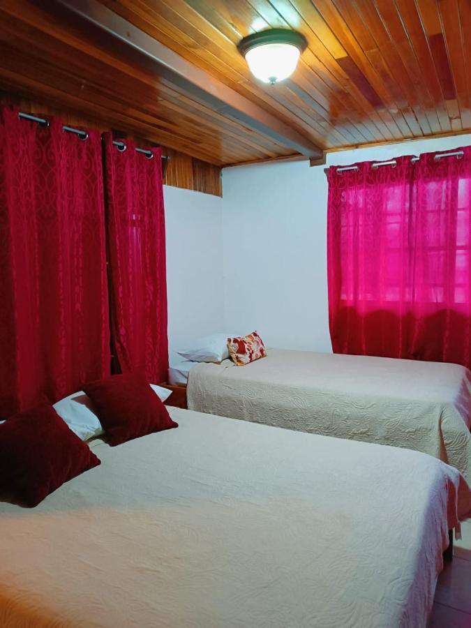 Monteverde Monkey Hostel ภายนอก รูปภาพ