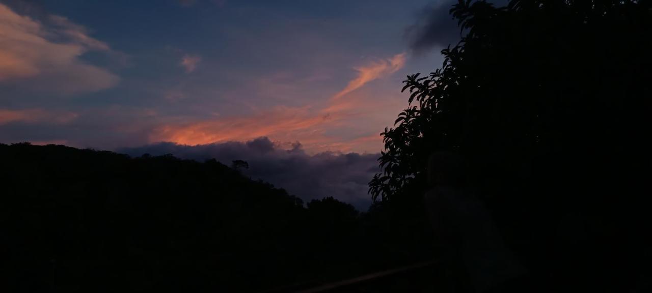 Monteverde Monkey Hostel ภายนอก รูปภาพ