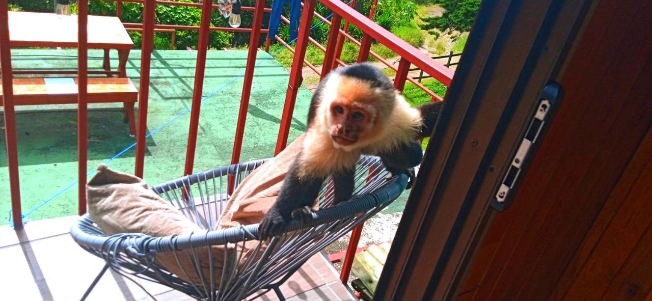 Monteverde Monkey Hostel ภายนอก รูปภาพ